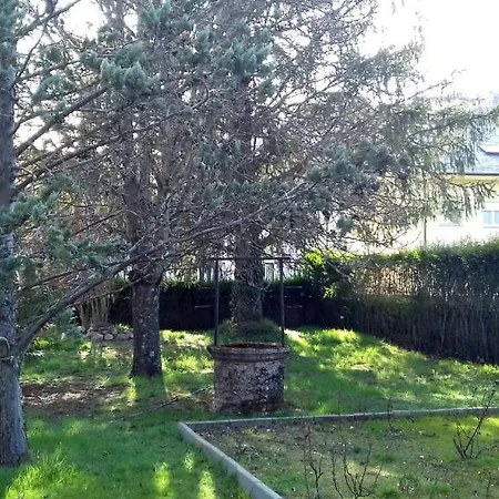 El Pinar De La *